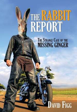 The Rabbit Report de David Figg