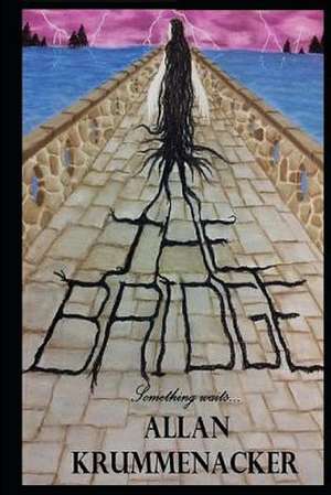 The Bridge de Allan Krummenacker