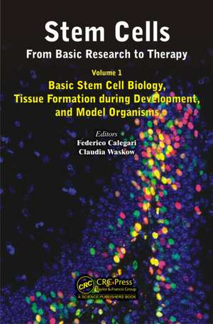 Stem Cells: From Basic Research to Therapy, Volume 1: Basic Stem Cell Biology, Tissue Formation during Development, and Model Organisms de Federico Calegari