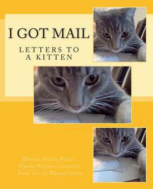 I Got Mail de Blessed Mickey Parker