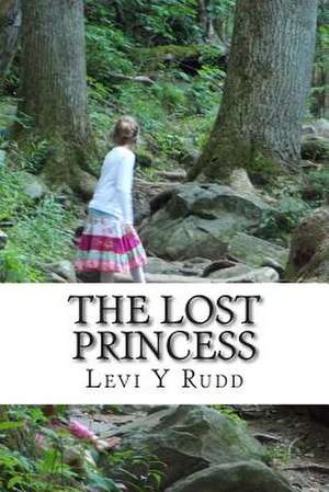 The Lost Princess de Levi Yitzchok Rudd