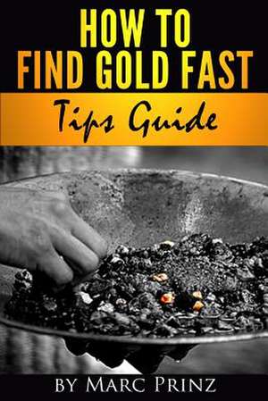 How to Find Gold Fast de Marc Prinz