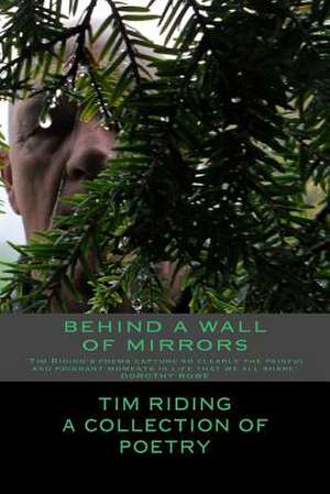 Behind a Wall of Mirrors de Tim M. Riding