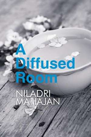 A Diffused Room de Niladri Mahajan