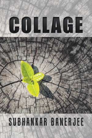 Collage de Subhankar Banerjee