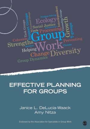 Effective Planning for Groups de Janice L. DeLucia-Waack