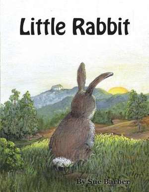 Little Rabbit de Sue Barber