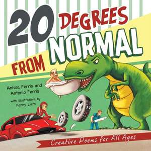 20 Degrees from Normal de Anissa Ferris