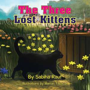 The Three Lost Kittens de Sabiha Rauf