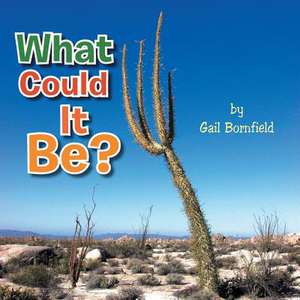 What Could It Be? de Gail Bornfield