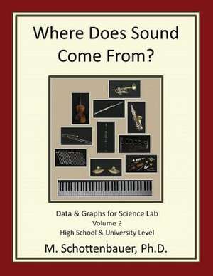 Where Does Sound Come From? Data & Graphs for Science Lab de M. Schottenbauer