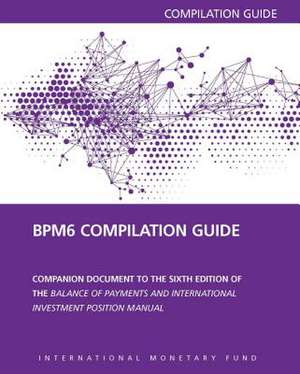 Balance of Payments Manual: Sixth Edition Compilation Guide de Eduardo Valdivia-Velarde