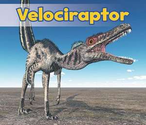 Velociraptor de Daniel Nunn