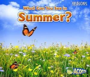 What Can You See in Summer? de SIAN SMITH