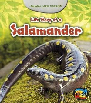 Life Story of a Salamander de Charlotte Guillain