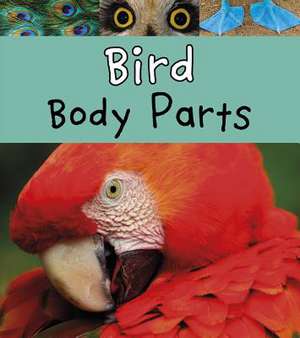 Bird Body Parts de Clare Lewis