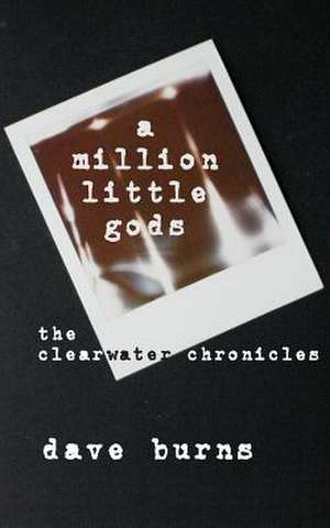 A Million Little Gods de Dave Burns