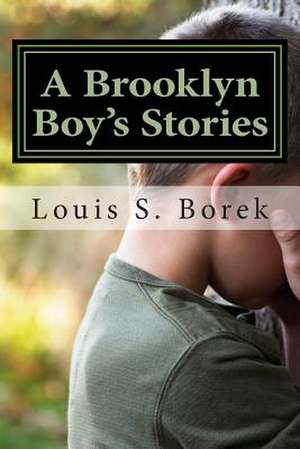 A Brooklyn Boy's Stories de Louis S. Borek