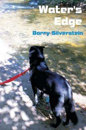 Water's Edge de Barry Silverstein