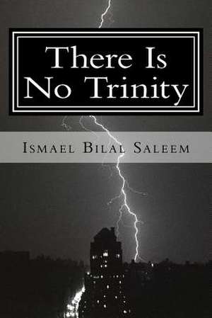 There Is No Trinity de I. D. Campbell