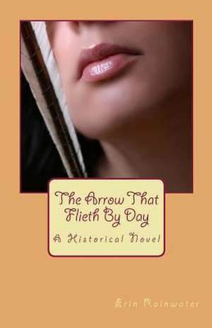 The Arrow That Flieth by Day de Erin Rainwater