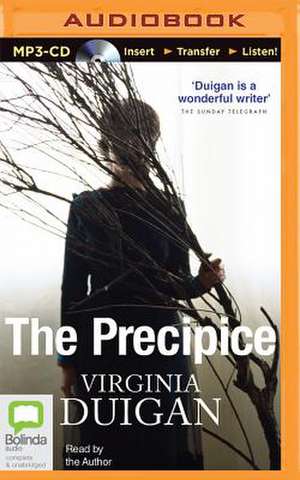 The Precipice de Virginia Duigan