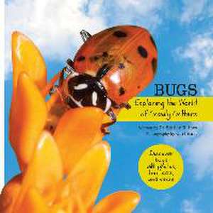 Bugs: Exploring the World of Crawly Critters de Shirley Raines