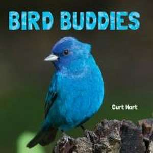 Bird Buddies de Curt Hart