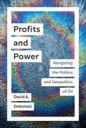 Profits and Power de David A Detomasi