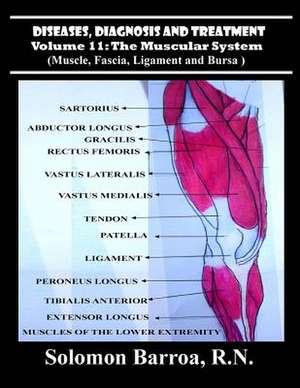 Diseases, Diagnosis and Treatment de Solomon Barroa R. N.