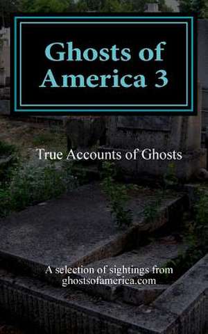 Ghosts of America 3 de Nina Lautner