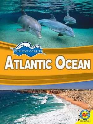 Atlantic Ocean de Joy Gregory