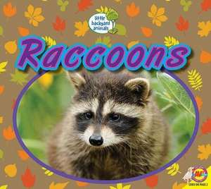 Raccoons de Heather Kissock