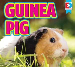 Guinea Pigs de Renae Gilles