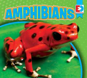 Amphibians de Maria Koran