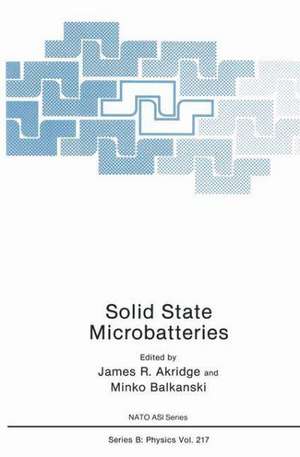 Solid State Microbatteries de James R. Akridge