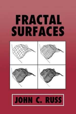 Fractal Surfaces de John C. Russ