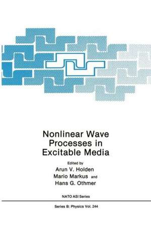 Nonlinear Wave Processes in Excitable Media de Arunn V. Holden