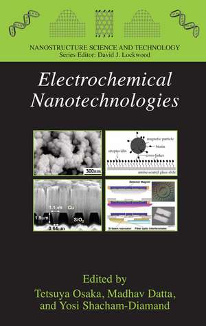 Electrochemical Nanotechnologies de Tetsuya Osaka