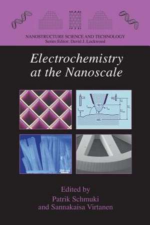 Electrochemistry at the Nanoscale de Patrik Schmuki