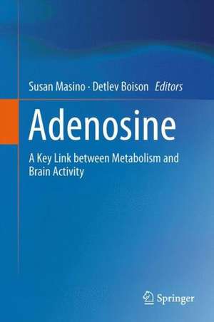 Adenosine: A Key Link between Metabolism and Brain Activity de Susan Masino