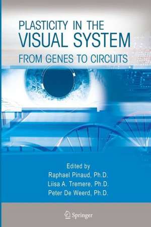 Plasticity in the Visual System: From Genes to Circuits de Raphael Pinaud