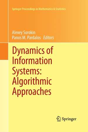 Dynamics of Information Systems: Algorithmic Approaches de Alexey Sorokin