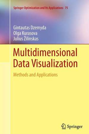 Multidimensional Data Visualization: Methods and Applications de Gintautas Dzemyda