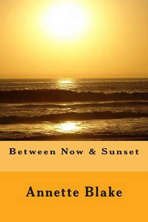 Between Now & Sunset de Annette Blake