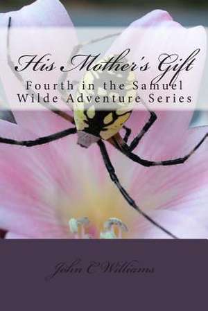 His Mother's Gift de John C. Williams