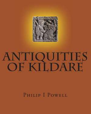 Antiquities of Kildare de Philip I. Powell