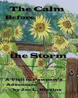 The Calm Before the Storm de MR Joe L. Blevins