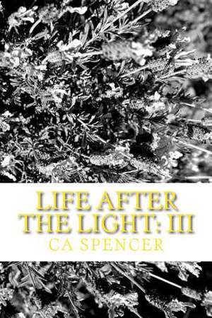 Life After the Light de C. a. Spencer