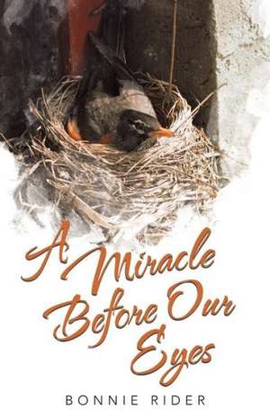 A Miracle Before Our Eyes de Bonnie Rider